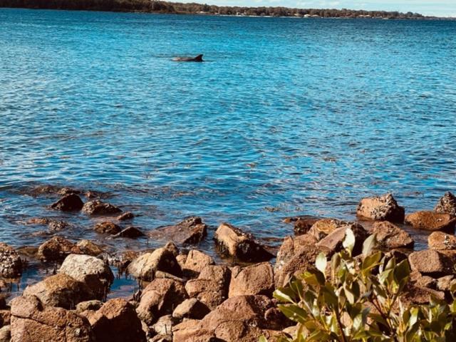 Apartment Tranquil Escape - Koala Hotspot - 2 Bed 2 Bath Spectacular Sea Views *