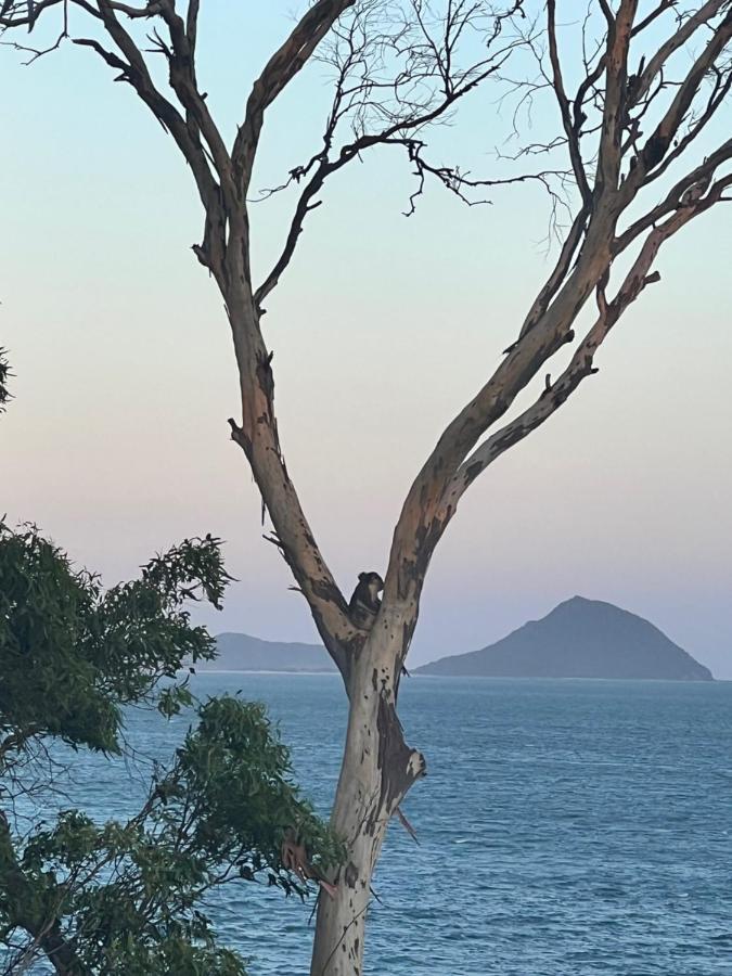 Tranquil Escape - Koala Hotspot - 2 Bed 2 Bath Spectacular Sea Views